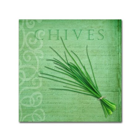 Cora Niele 'Classic Herbs Chives' Canvas Art,35x35